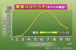 p03b.jpg