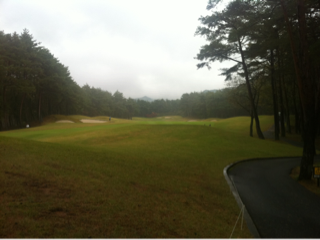 image-20111106173741.png
